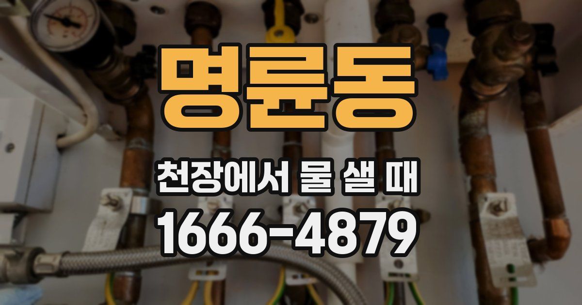 명륜동 천장에서 물 샐 때