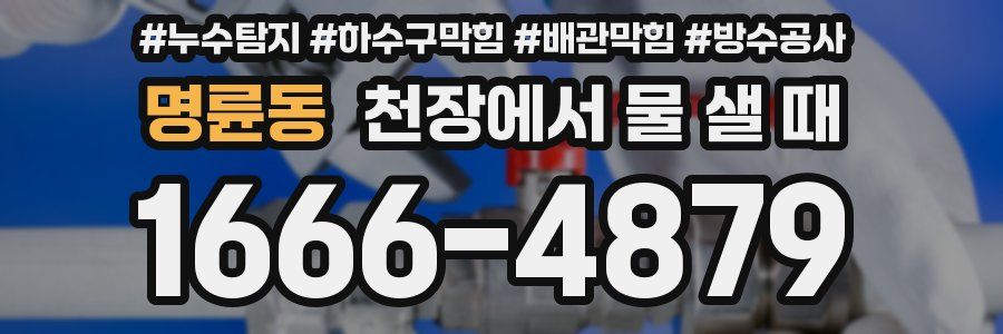 명륜동 천장에서 물 샐 때