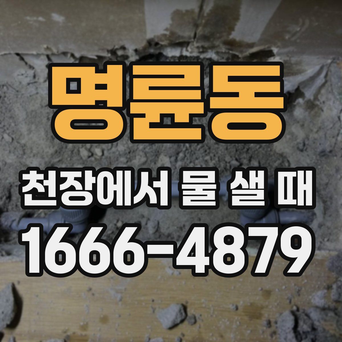 명륜동 천장에서 물 샐 때