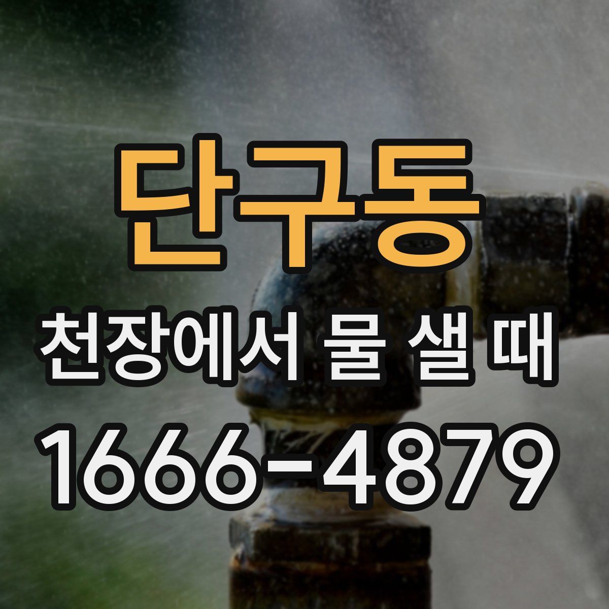 단구동 천장에서 물 샐 때