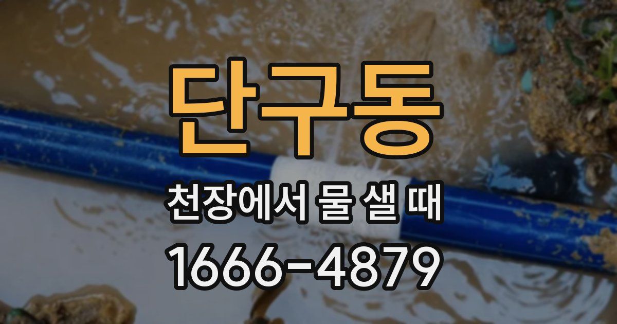 단구동 천장에서 물 샐 때