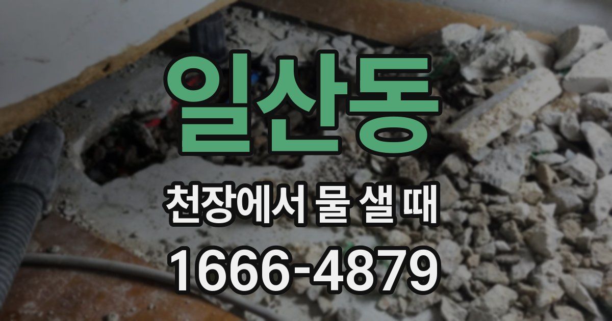 일산동 천장에서 물 샐 때