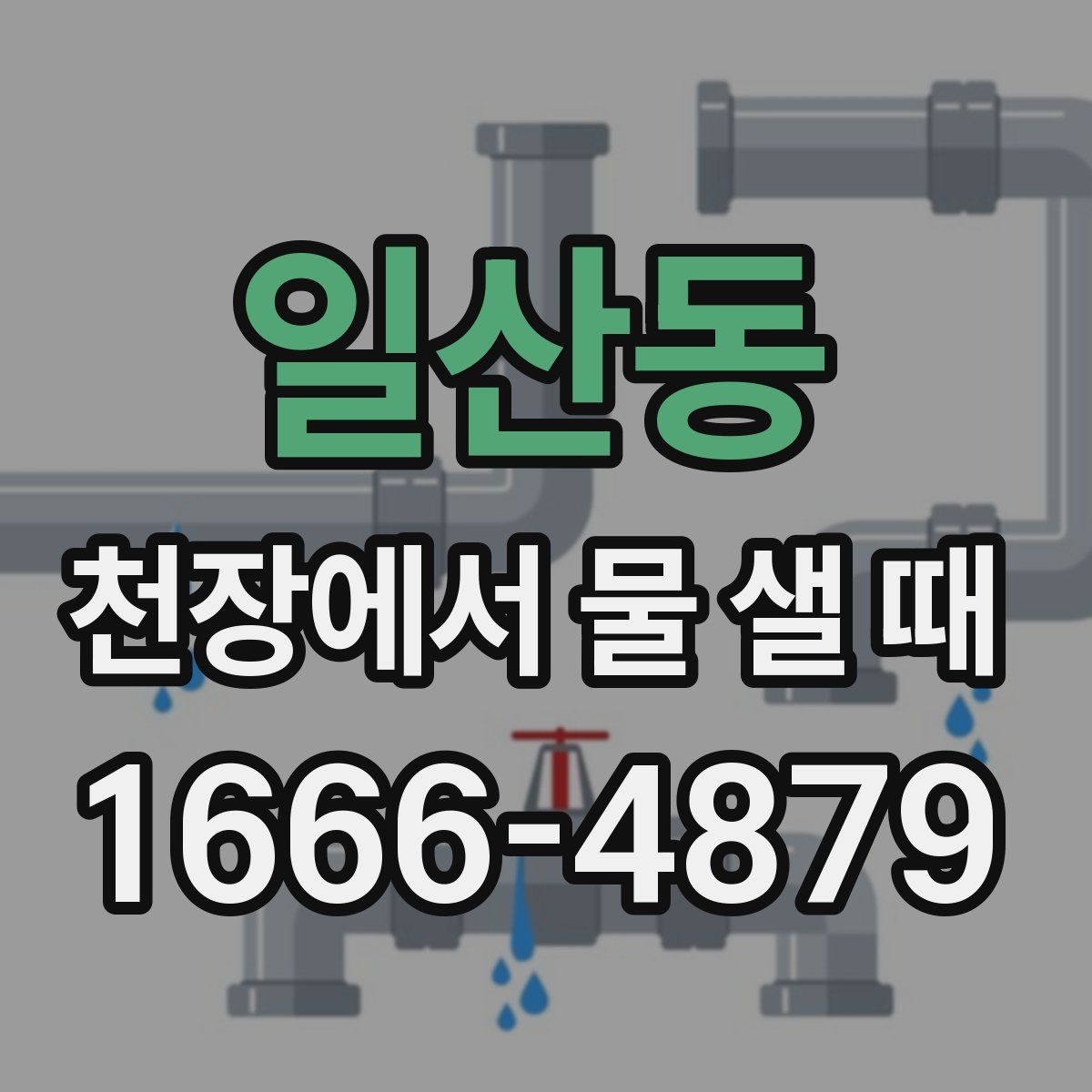 일산동 천장에서 물 샐 때