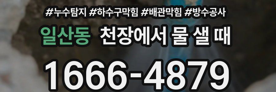 일산동 천장에서 물 샐 때