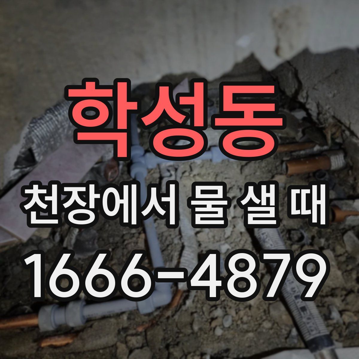 학성동 천장에서 물 샐 때