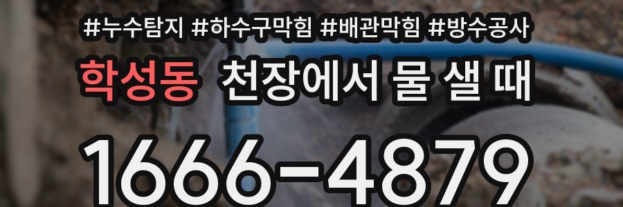 학성동 천장에서 물 샐 때