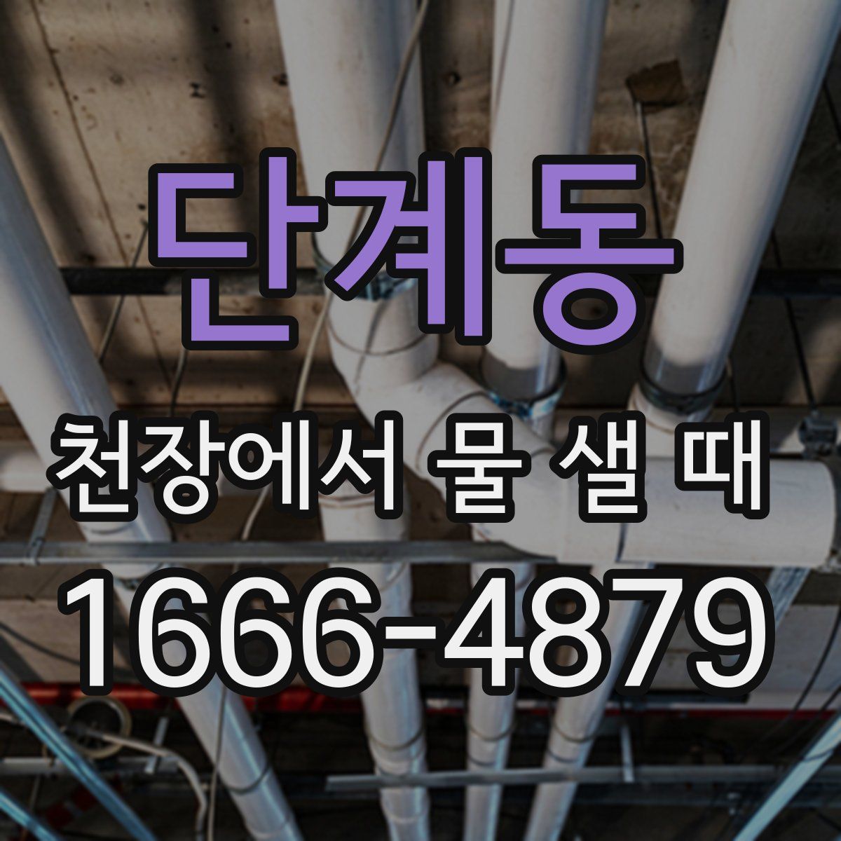 단계동 천장에서 물 샐 때