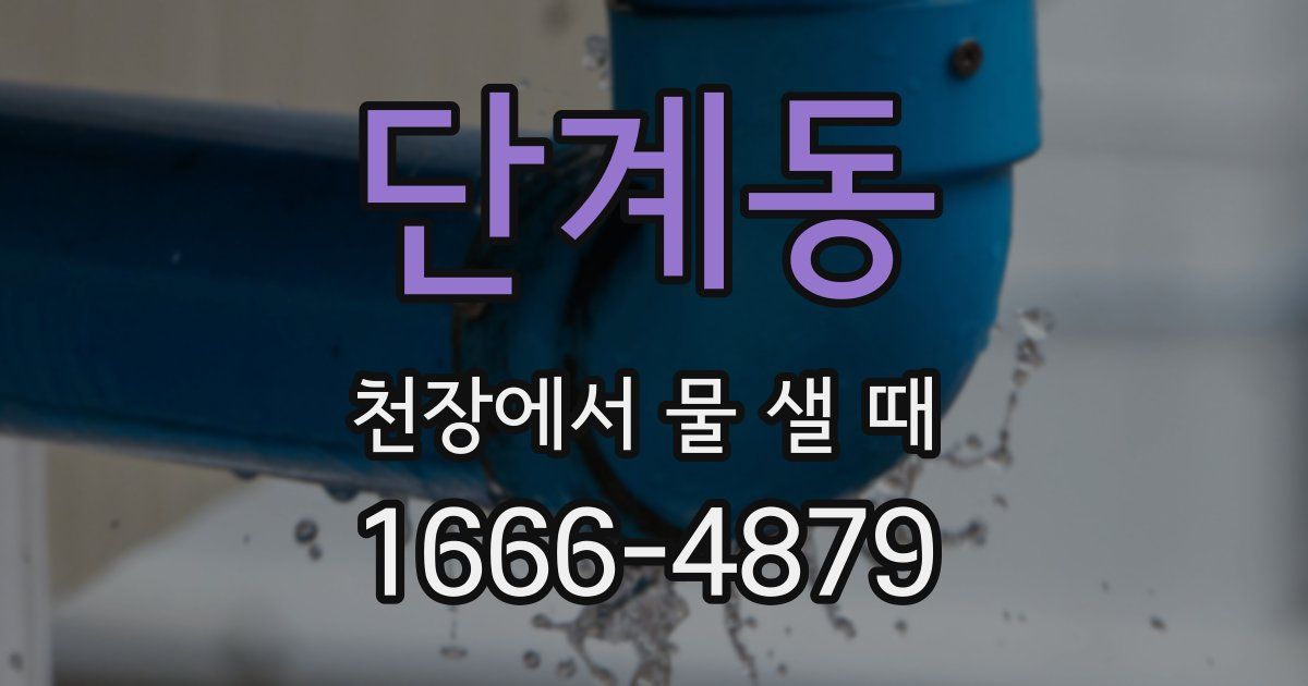 단계동 천장에서 물 샐 때