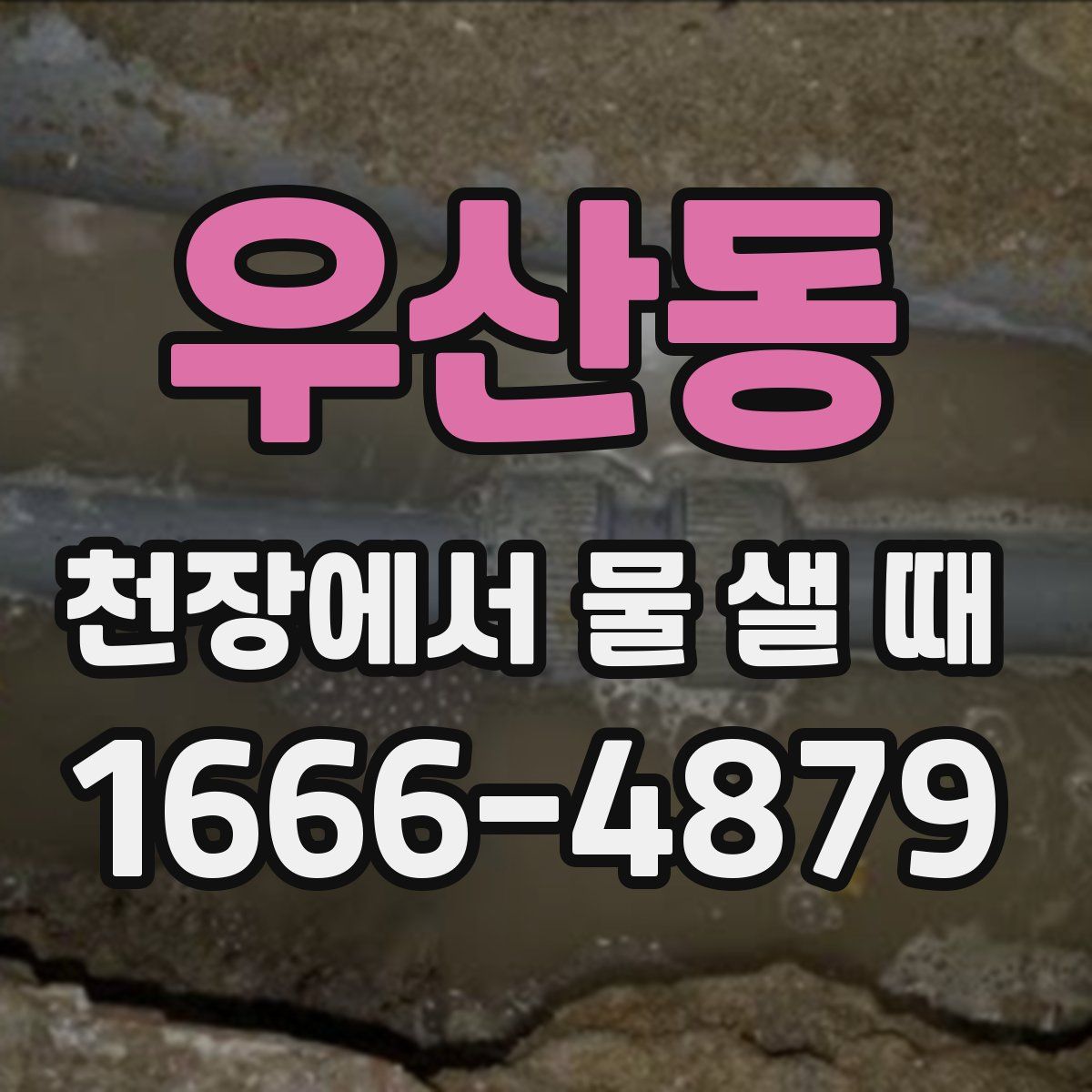 우산동 천장에서 물 샐 때