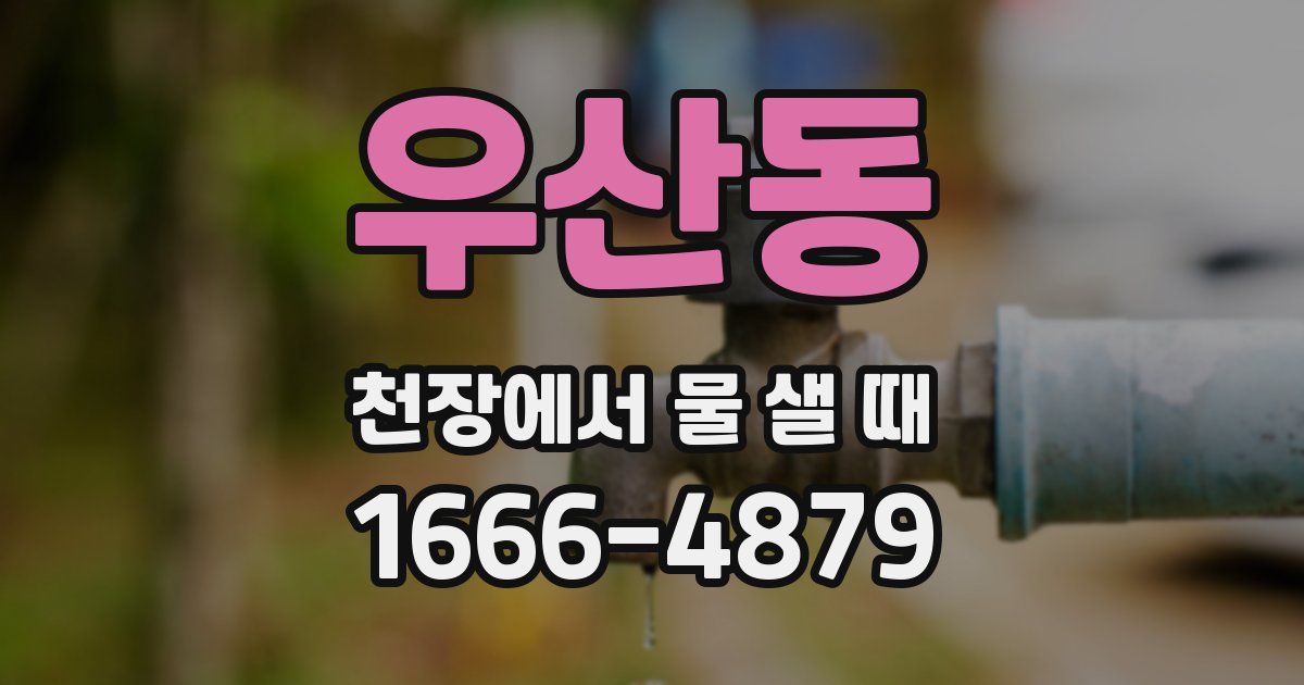 우산동 천장에서 물 샐 때