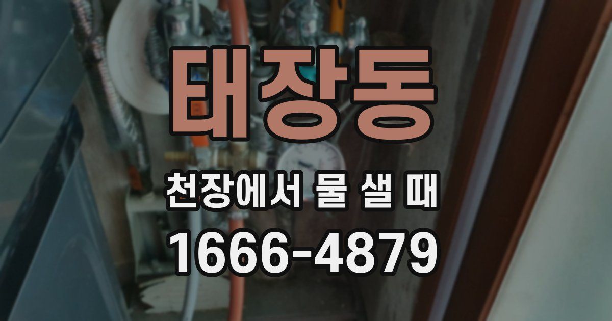 태장동 천장에서 물 샐 때
