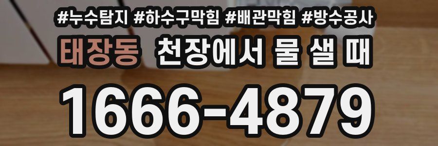 태장동 천장에서 물 샐 때