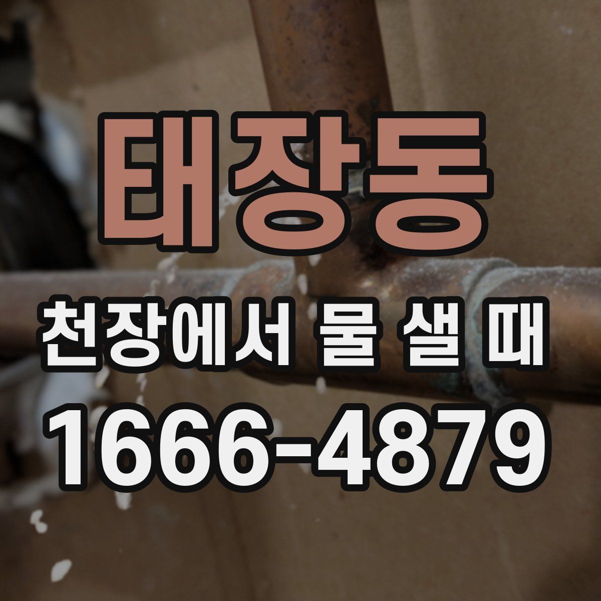 태장동 천장에서 물 샐 때