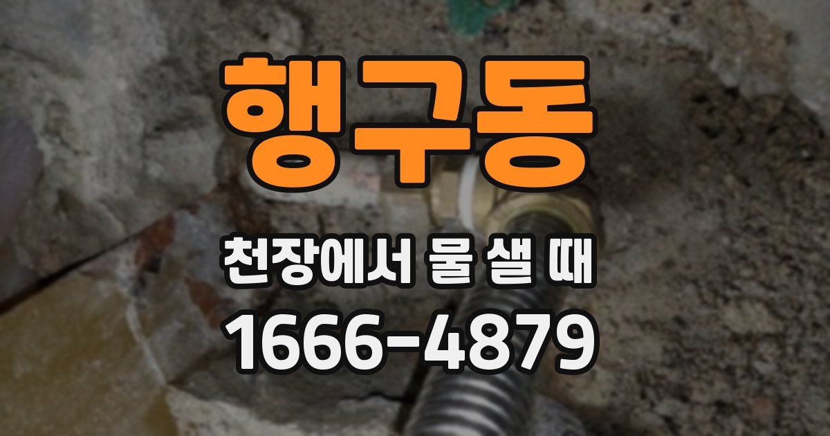 행구동 천장에서 물 샐 때