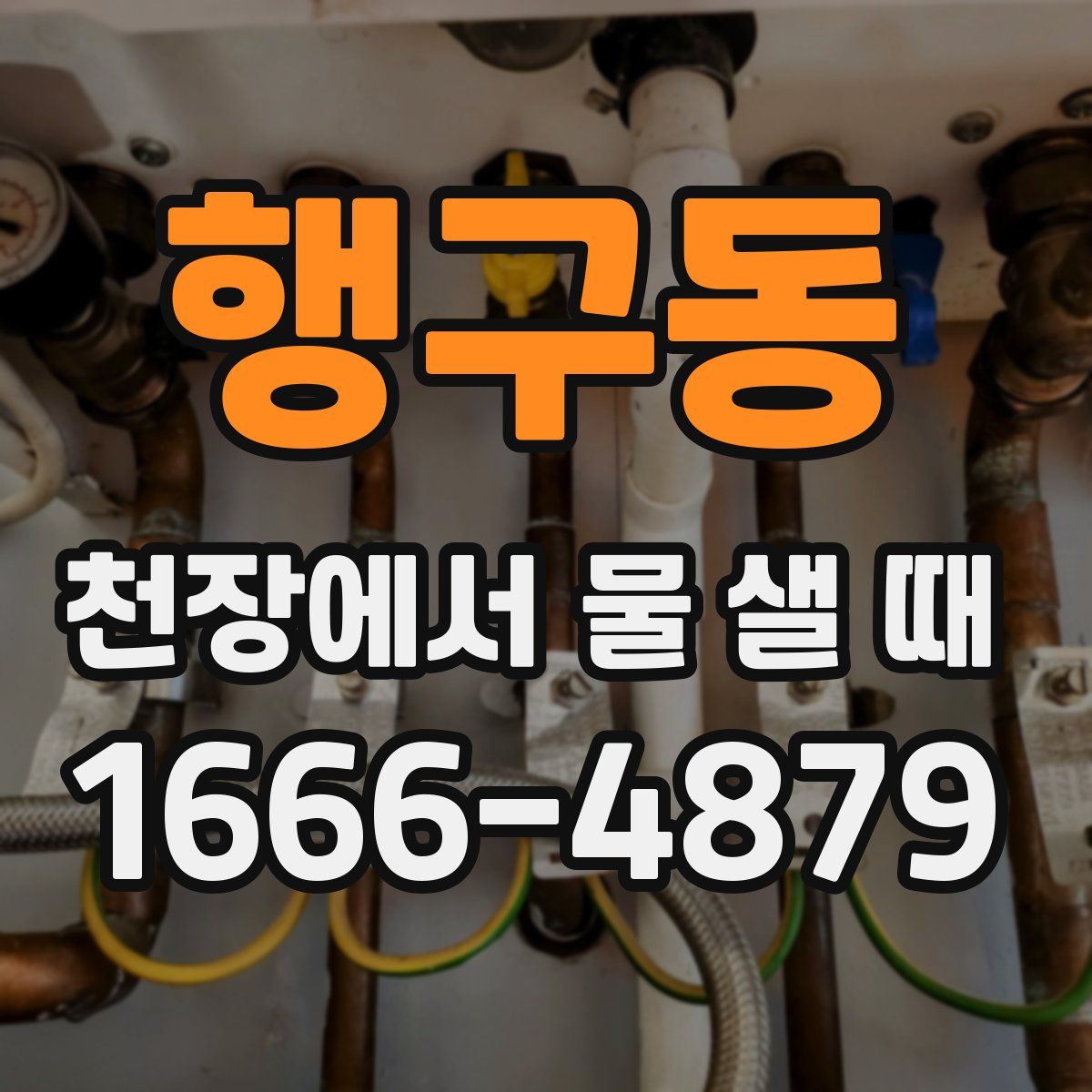 행구동 천장에서 물 샐 때