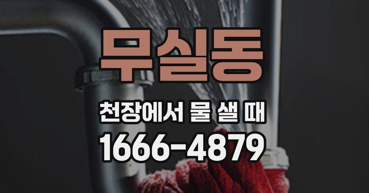 무실동 천장에서 물 샐 때