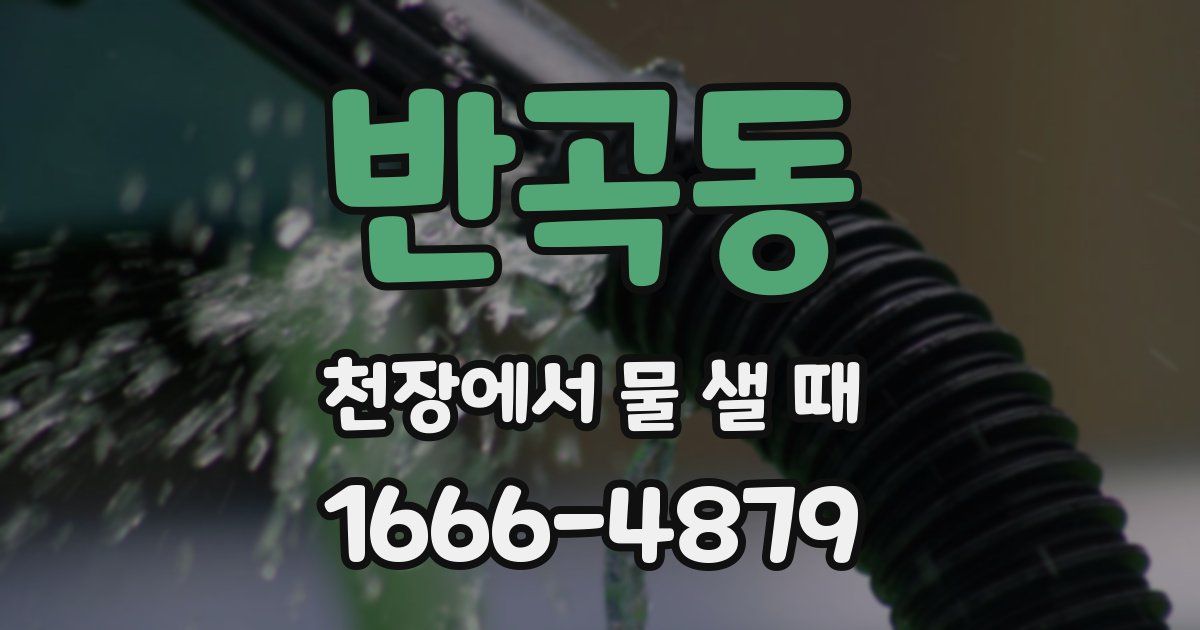 반곡동 천장에서 물 샐 때