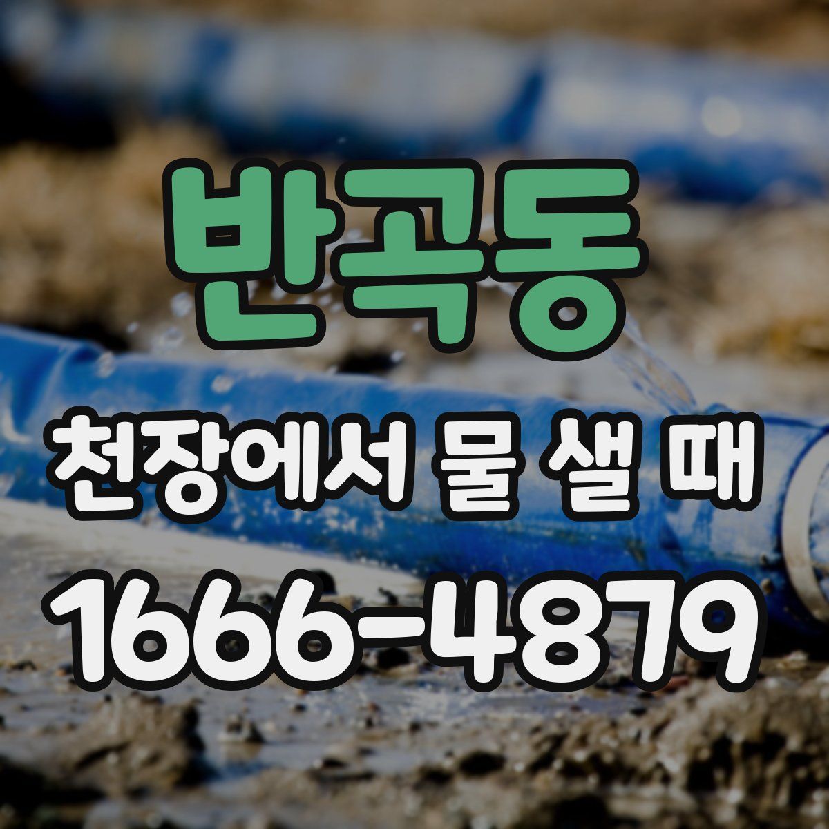 반곡동 천장에서 물 샐 때
