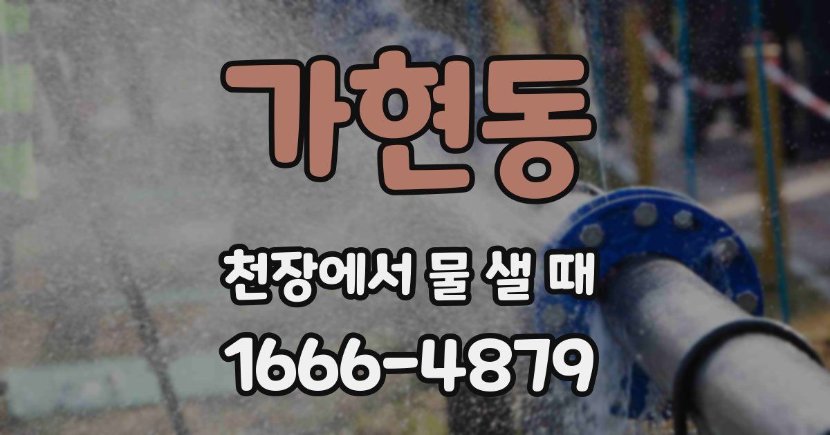 가현동 천장에서 물 샐 때