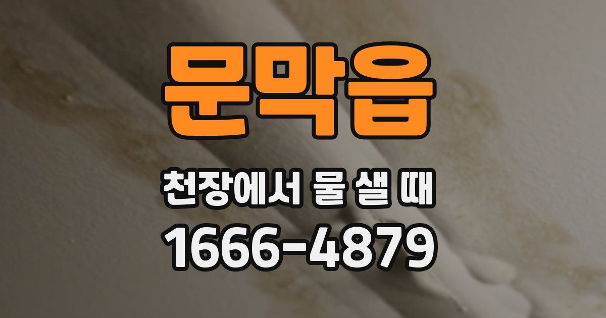 문막읍 천장에서 물 샐 때