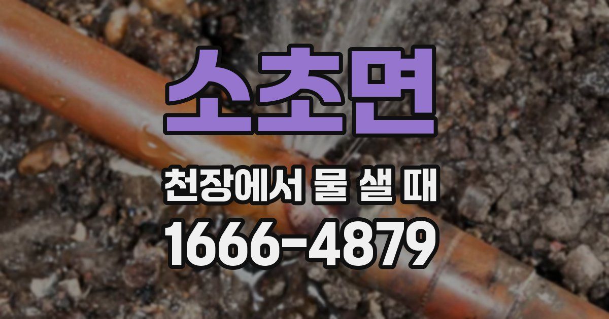 소초면 천장에서 물 샐 때