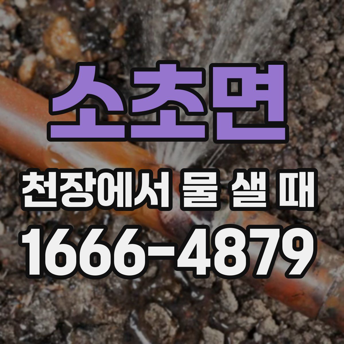 소초면 천장에서 물 샐 때