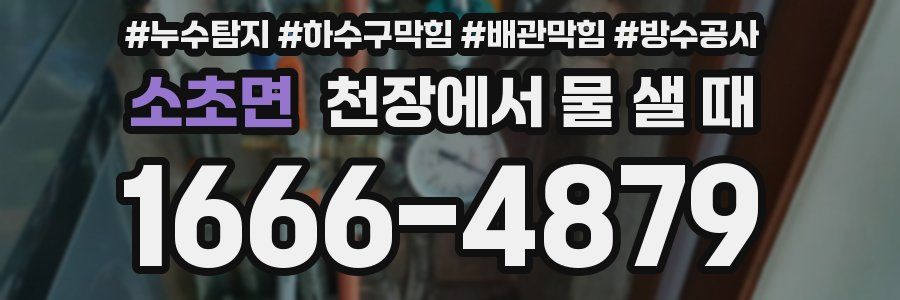 소초면 천장에서 물 샐 때