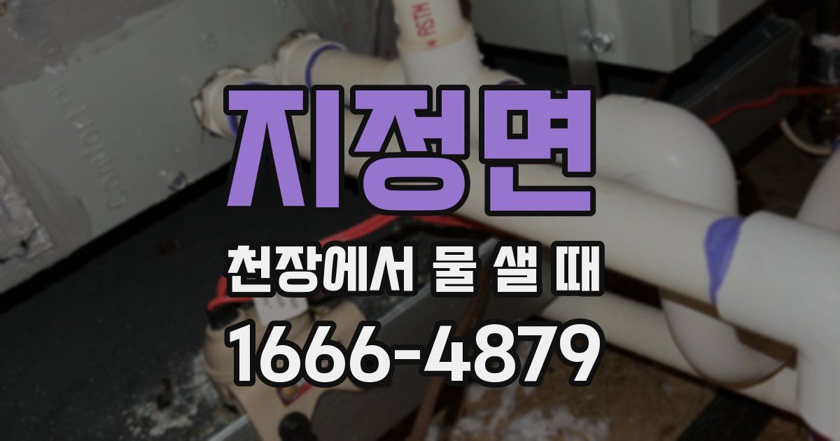 지정면 천장에서 물 샐 때