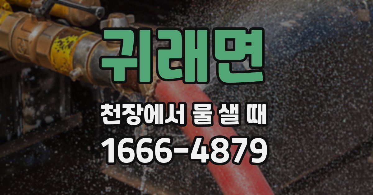귀래면 천장에서 물 샐 때
