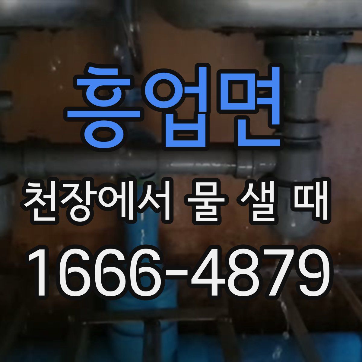 흥업면 천장에서 물 샐 때