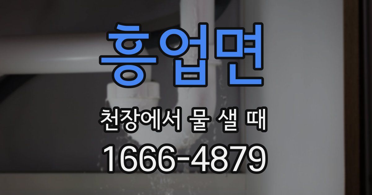 흥업면 천장에서 물 샐 때