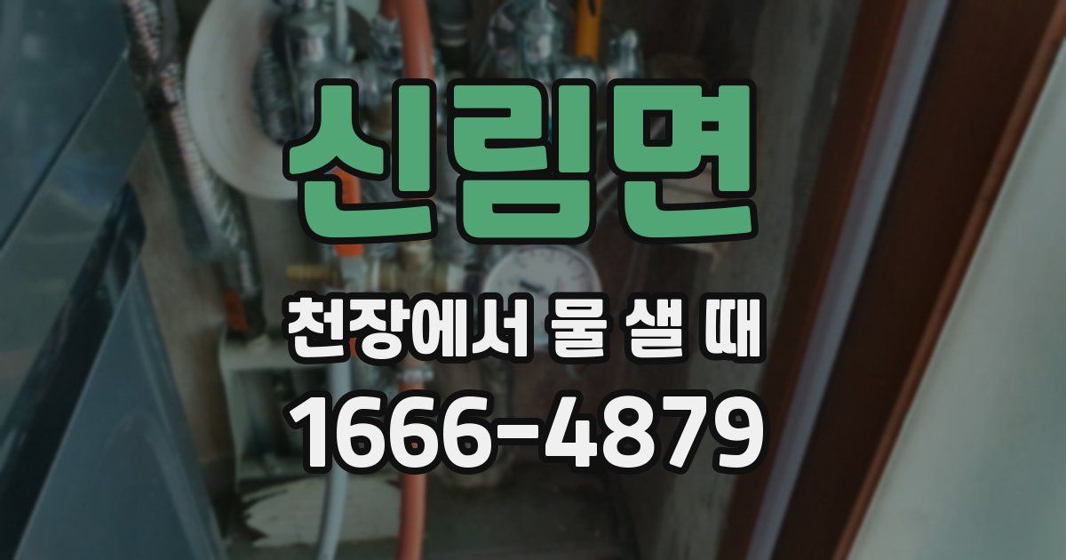 신림면 천장에서 물 샐 때