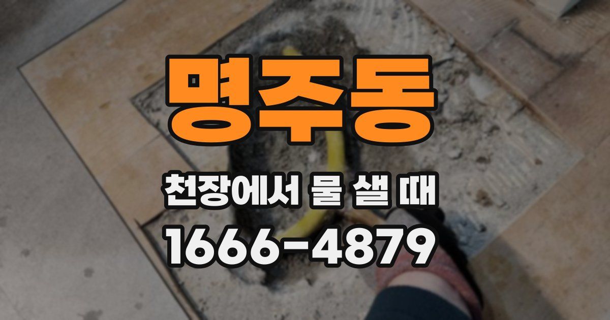 명주동 천장에서 물 샐 때