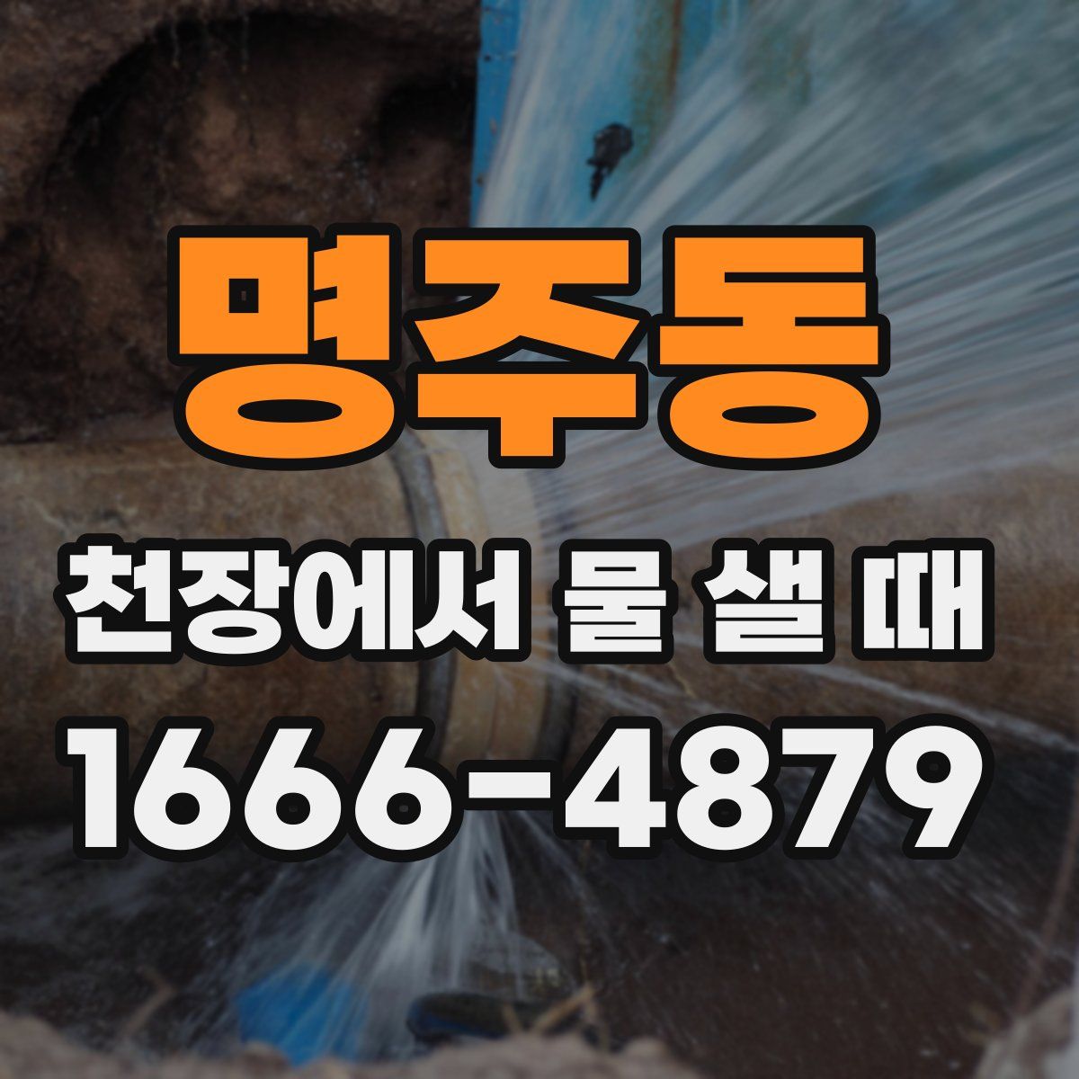 명주동 천장에서 물 샐 때