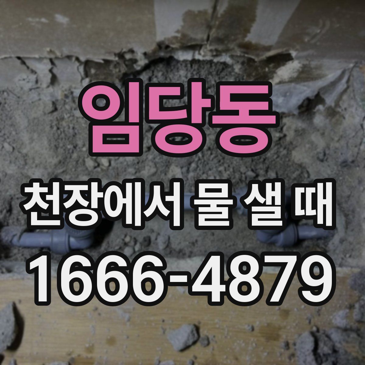 임당동 천장에서 물 샐 때