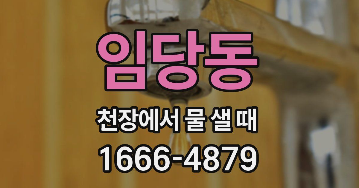 임당동 천장에서 물 샐 때