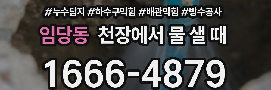 임당동 천장에서 물 샐 때