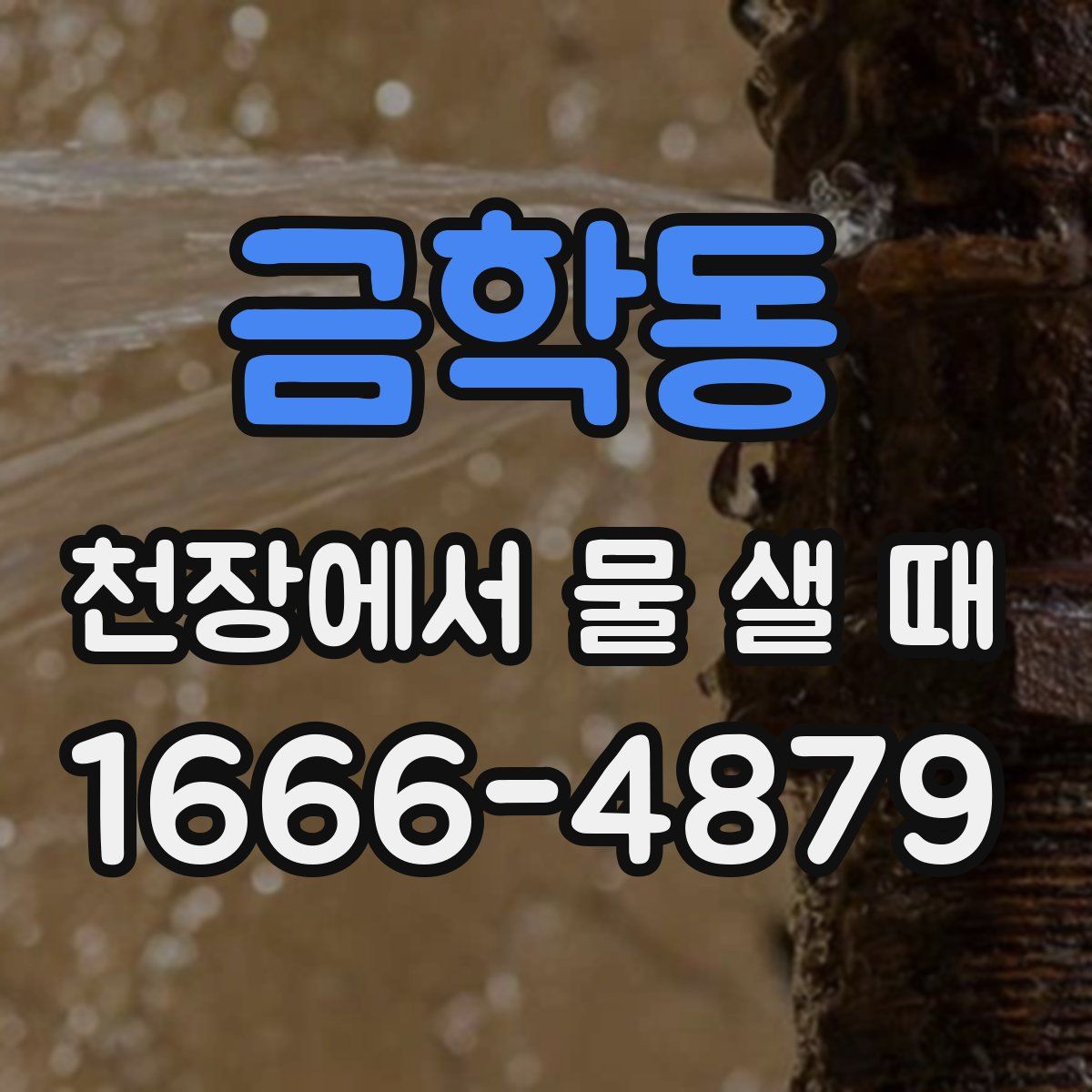 금학동 천장에서 물 샐 때