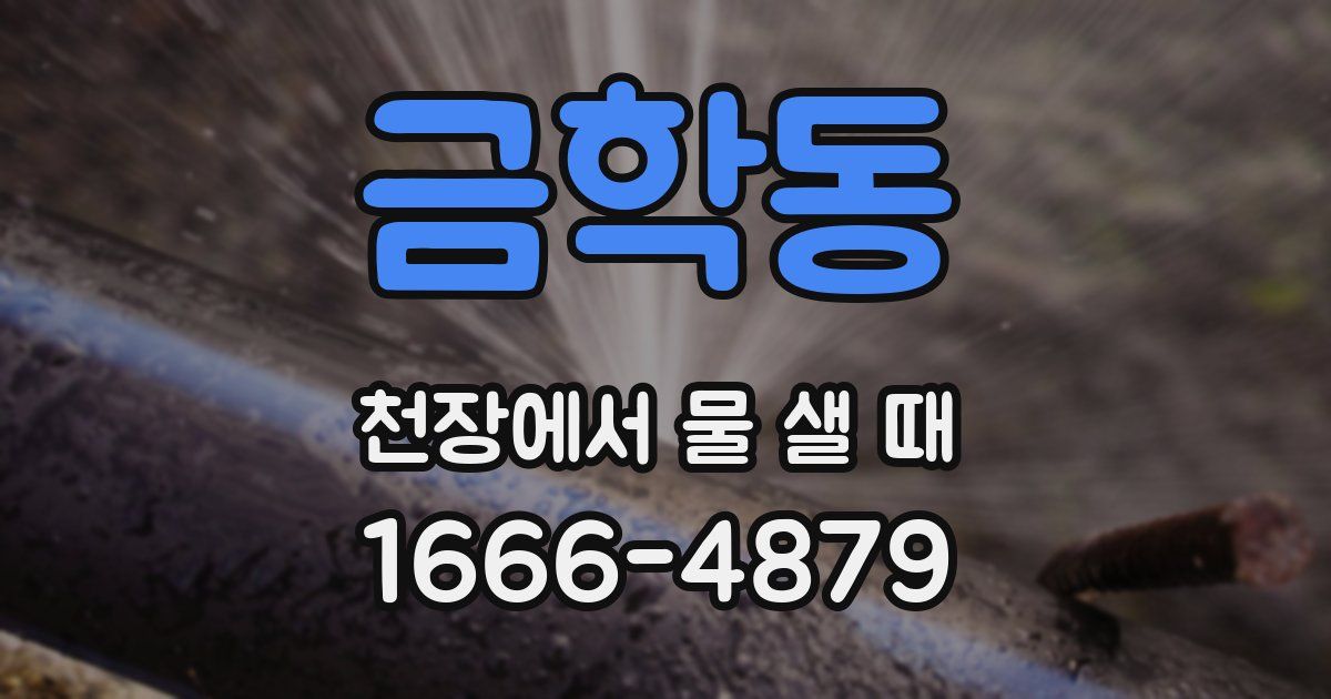 금학동 천장에서 물 샐 때