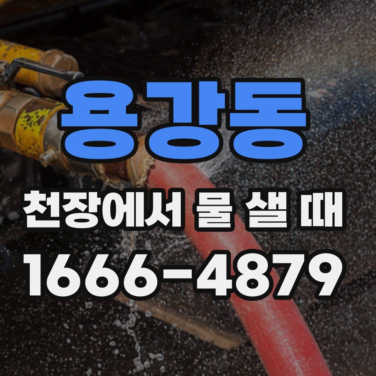 용강동 천장에서 물 샐 때