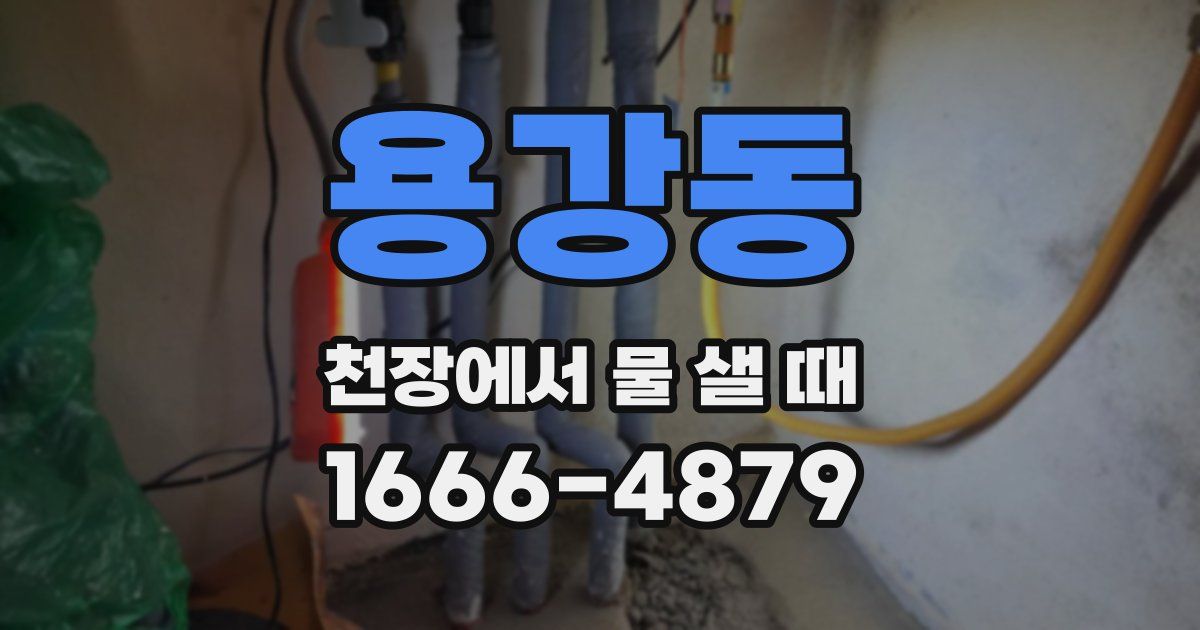 용강동 천장에서 물 샐 때