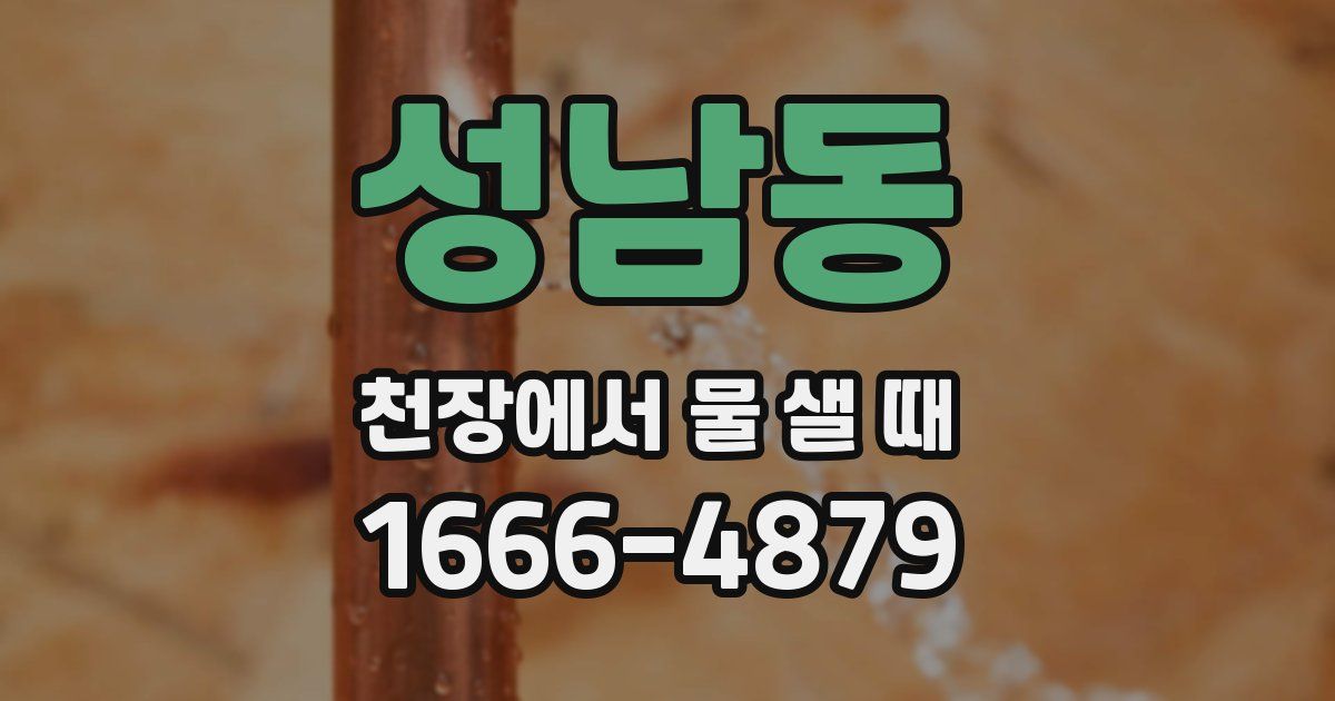 성남동 천장에서 물 샐 때