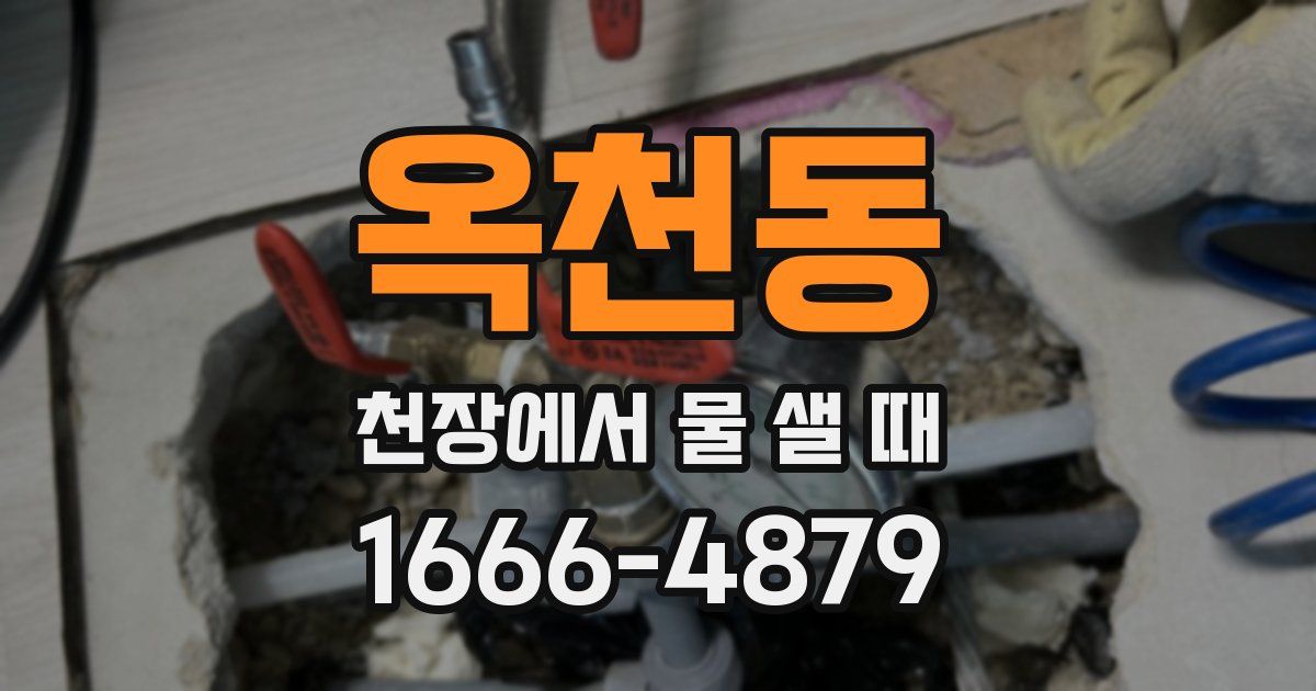 옥천동 천장에서 물 샐 때