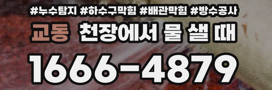 교동 천장에서 물 샐 때