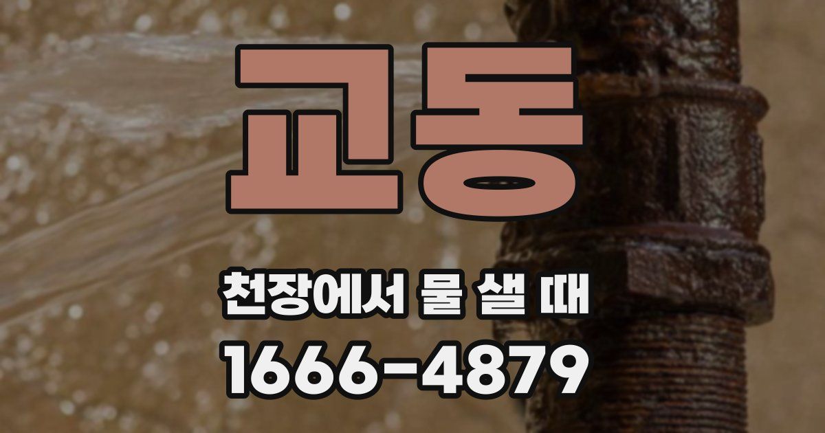 교동 천장에서 물 샐 때