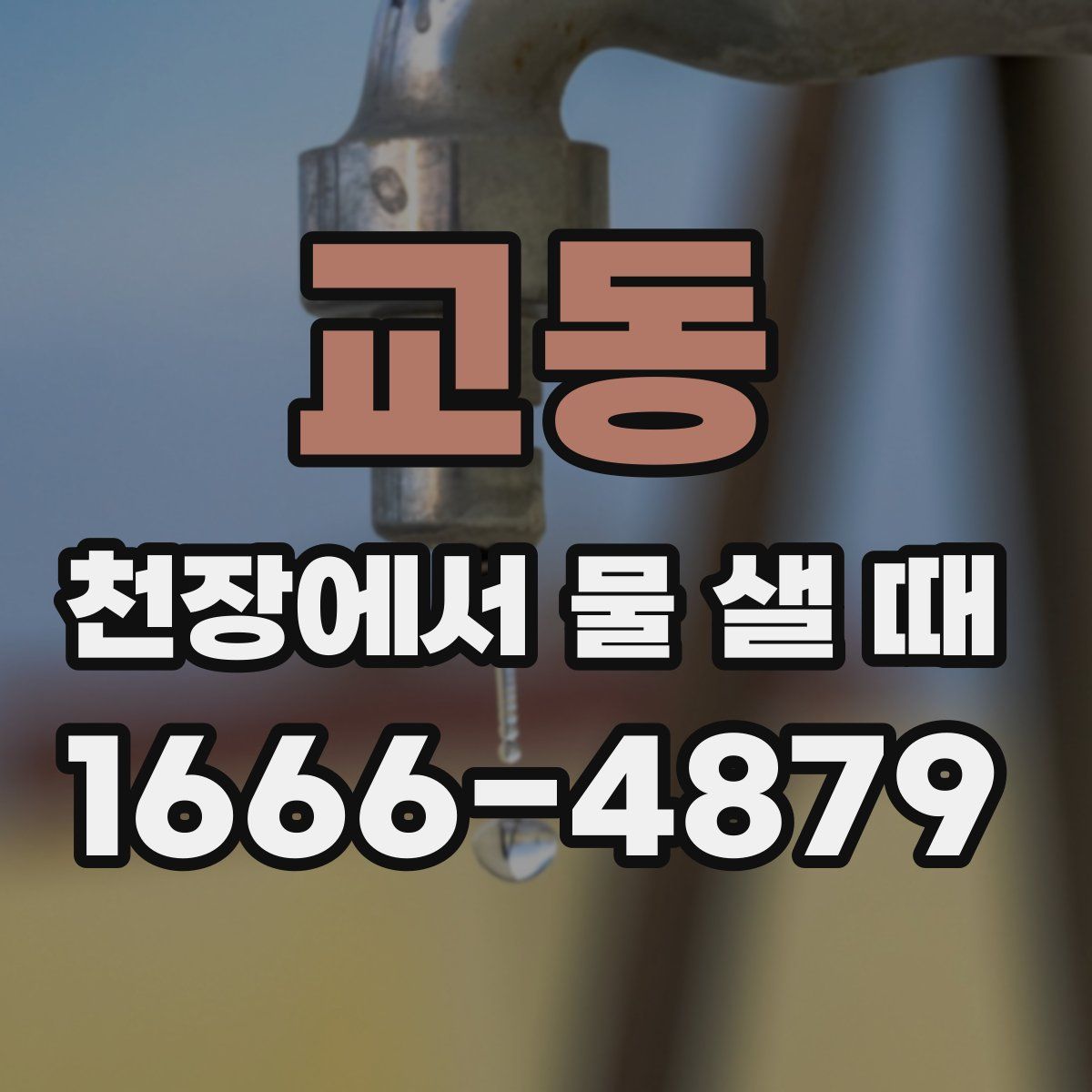 교동 천장에서 물 샐 때