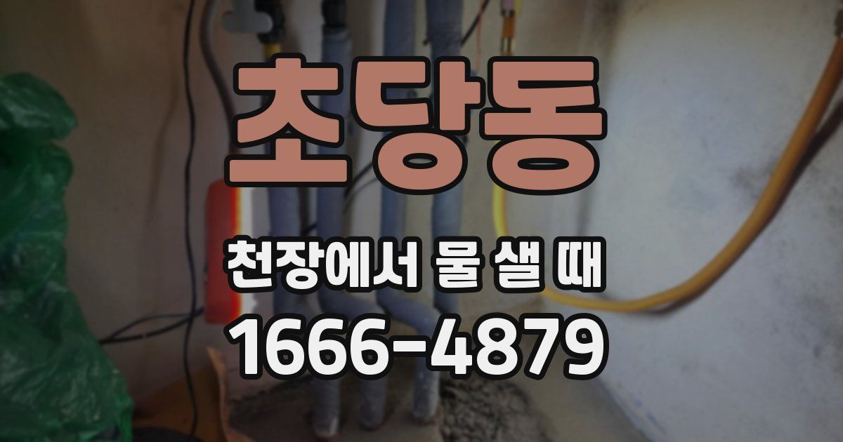 초당동 천장에서 물 샐 때