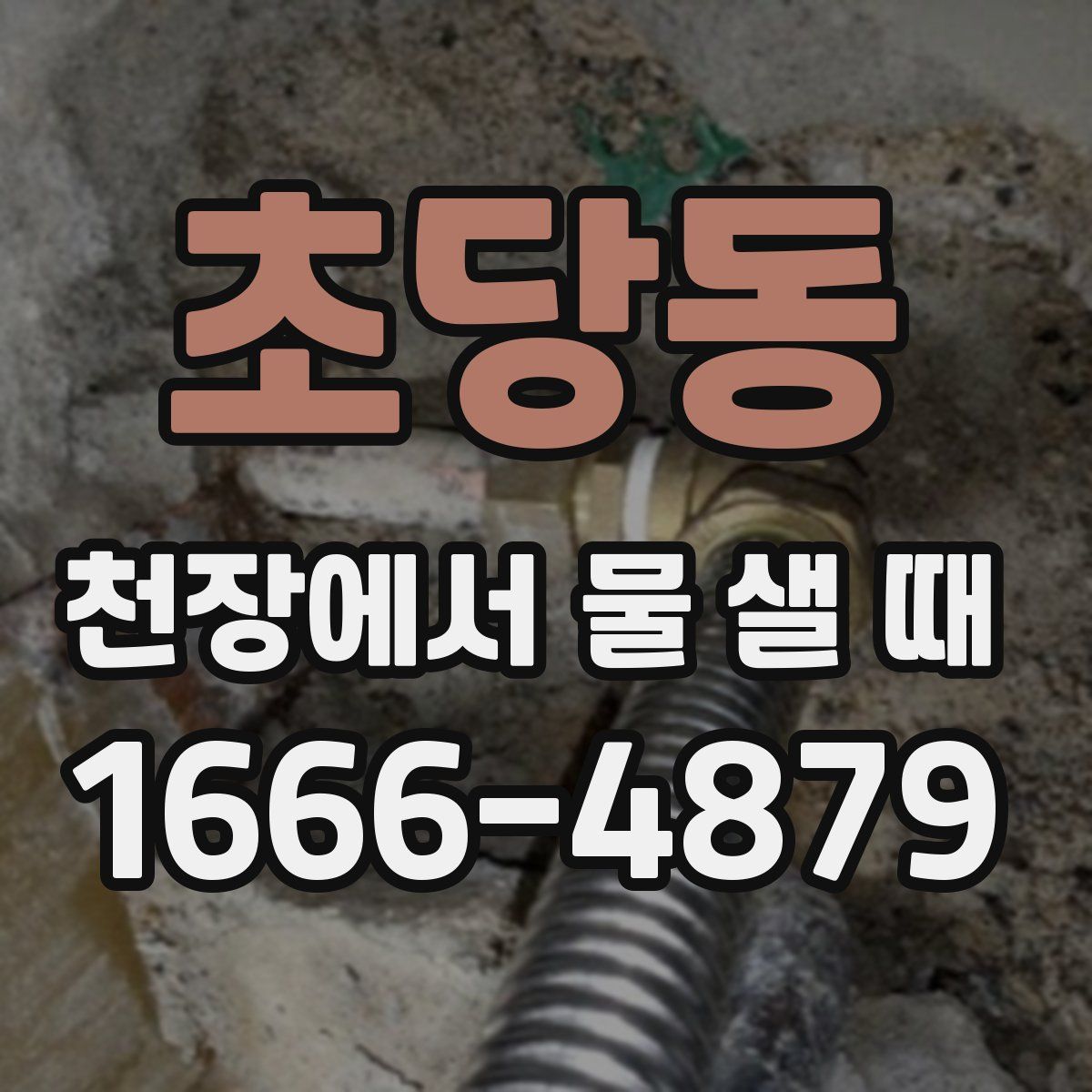 초당동 천장에서 물 샐 때