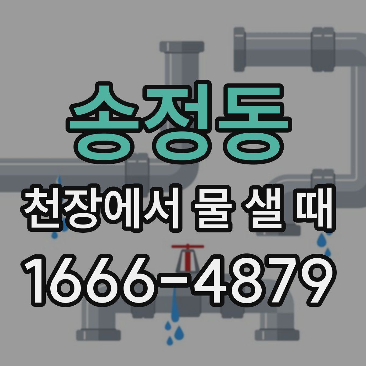 송정동 천장에서 물 샐 때