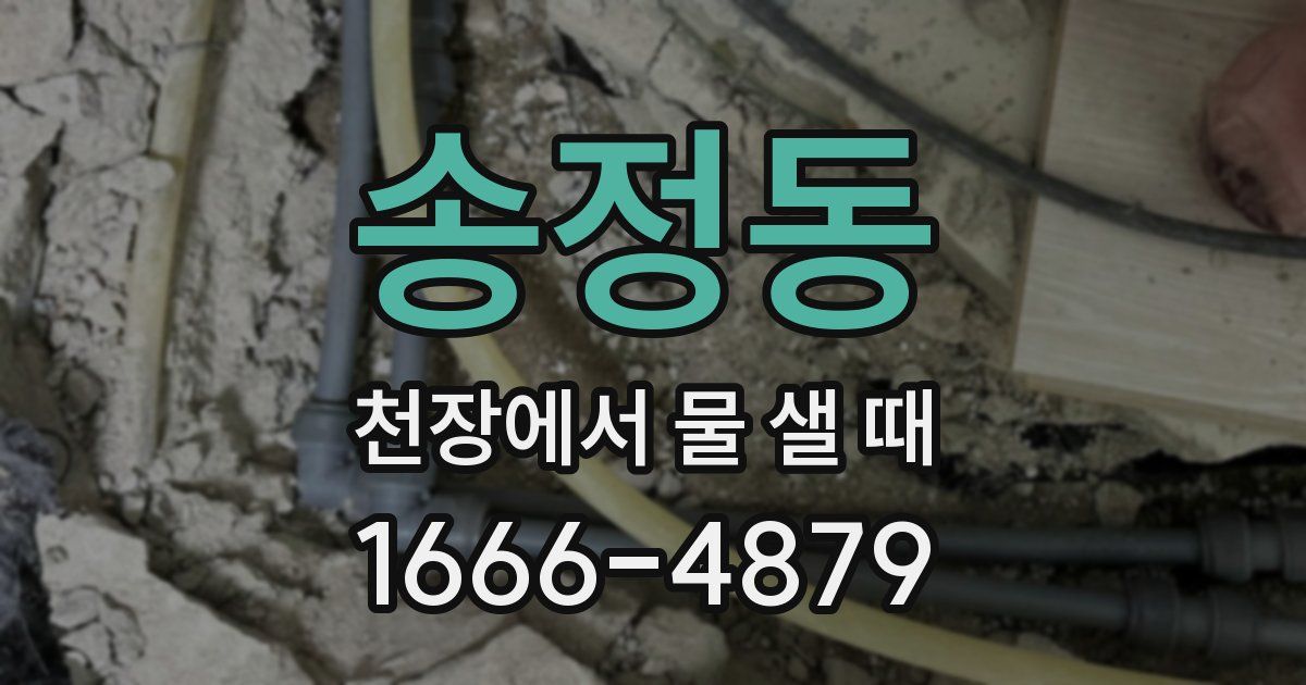 송정동 천장에서 물 샐 때